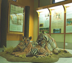 kanha museum