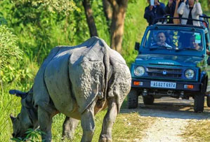 kaziranga national park india