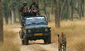 pench safari