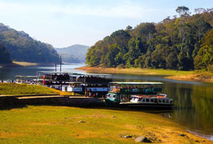 periyar national park india