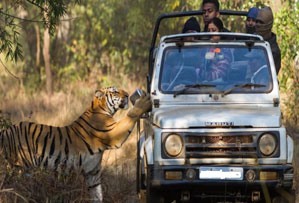 ranthambore national park india