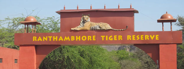 ranthambore safari zone