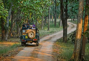 sariska jeep safari